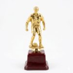 Trophie - 21 (Medium size)