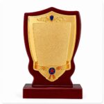 Shields (Big size)