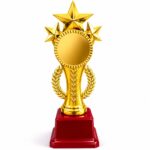 Trophie - 8(Small Size)