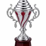 Trophie - 54 Big Size