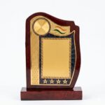 Shields (Big size)