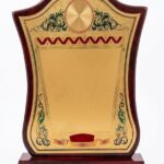 Shields (Medium size)