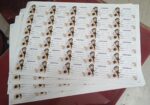 79-5 School Lables And Stickers - Image 5