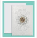 Grey (Hampi Pearl - 9090- Silver)