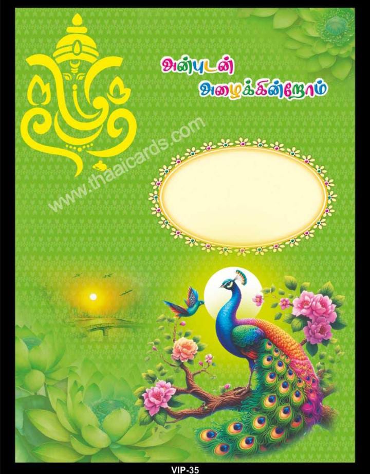 1 VIP (T035) - Image 1