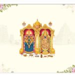 Grey (Aaranya-713-Yellow Thirupathy)