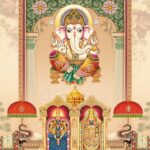Grey (Shiva - 3002)