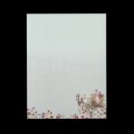 KNKC4091 - Image 4