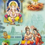 Grey (Shiva - 3003)
