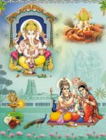 Grey (Shiva - 3003)