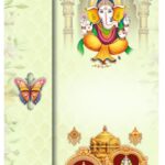 Grey (Kaviya Butterfly - 33)