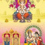 Grey (Shiva - 3004)