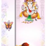Grey (Kaviya Butterfly - 31)