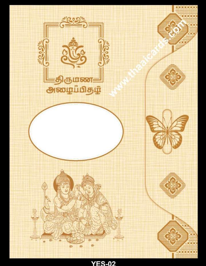 6 YES (T002) - Image 1