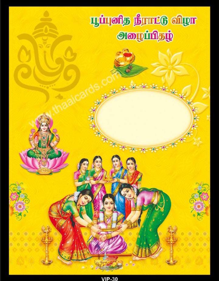 6 VIP (T030) - Image 1