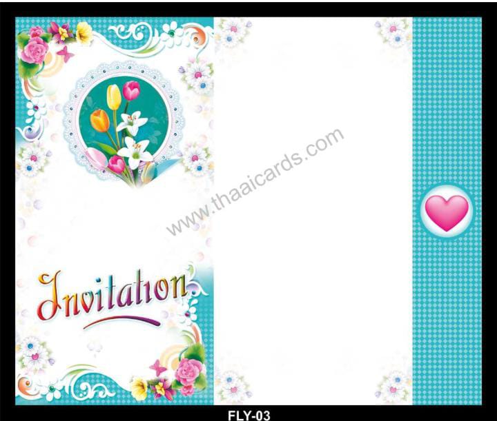 6 FLY (T003) - Image 1
