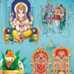 Grey (Shiva - 3007)