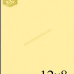 THAAI (T091)