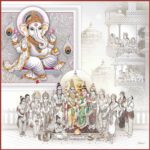Grey (Shree -669)